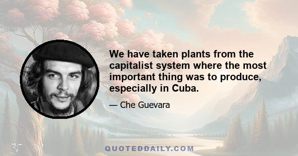 We have taken plants from the capitalist system where the most important thing was to produce, especially in Cuba.