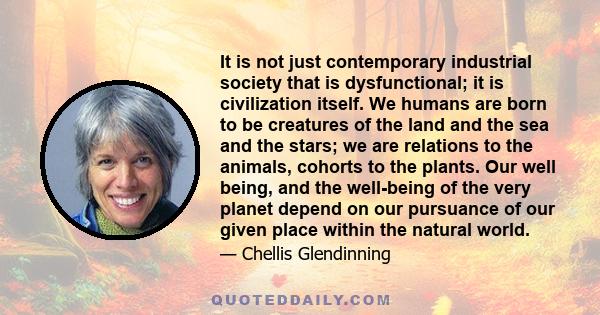 It is not just contemporary industrial society that is dysfunctional; it is civilization itself. We humans are born to be creatures of the land and the sea and the stars; we are relations to the animals, cohorts to the