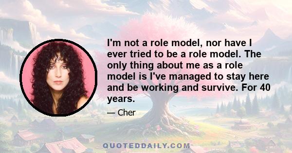 I'm not a role model, nor have I ever tried to be a role model. The only thing about me as a role model is I've managed to stay here and be working and survive. For 40 years.