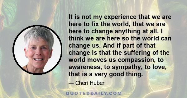 It is not my experience that we are here to fix the world, that we are here to change anything at all. I think we are here so the world can change us. And if part of that change is that the suffering of the world moves