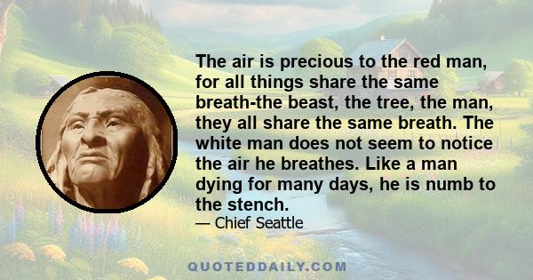 The air is precious to the red man, for all things share the same breath-the beast, the tree, the man, they all share the same breath. The white man does not seem to notice the air he breathes. Like a man dying for many 