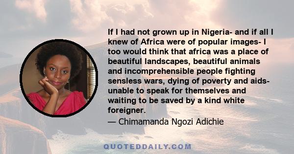 If I had not grown up in Nigeria- and if all I knew of Africa were of popular images- I too would think that africa was a place of beautiful landscapes, beautiful animals and incomprehensible people fighting sensless