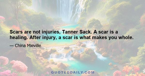 Scars are not injuries, Tanner Sack. A scar is a healing. After injury, a scar is what makes you whole.