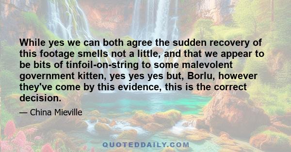 While yes we can both agree the sudden recovery of this footage smells not a little, and that we appear to be bits of tinfoil-on-string to some malevolent government kitten, yes yes yes but, Borlu, however they've come