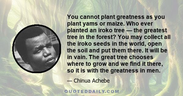 You cannot plant greatness as you plant yams or maize. Who ever planted an iroko tree — the greatest tree in the forest? You may collect all the iroko seeds in the world, open the soil and put them there. It will be in