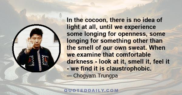 In the cocoon, there is no idea of light at all, until we experience some longing for openness, some longing for something other than the smell of our own sweat. When we examine that comfortable darkness - look at it,