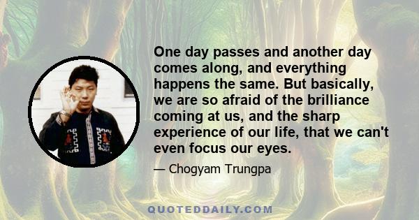 One day passes and another day comes along, and everything happens the same. But basically, we are so afraid of the brilliance coming at us, and the sharp experience of our life, that we can't even focus our eyes.