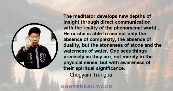 The meditator develops new depths of insight through direct communication with the reality of the phenomenal world... He or she is able to see not only the absence of complexity, the absence of duality, but the