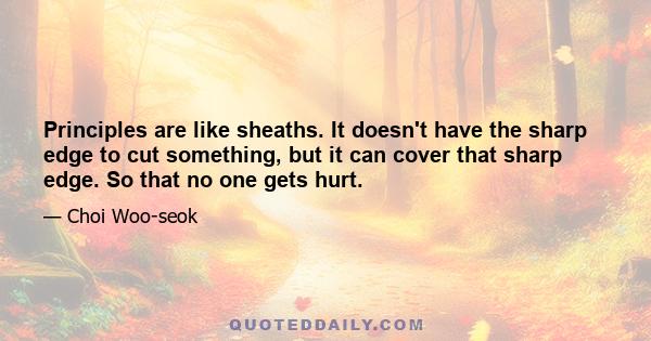 Principles are like sheaths. It doesn't have the sharp edge to cut something, but it can cover that sharp edge. So that no one gets hurt.