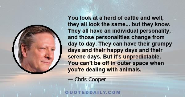 You look at a herd of cattle and well, they all look the same... but they know. They all have an individual personality, and those personalities change from day to day. They can have their grumpy days and their happy