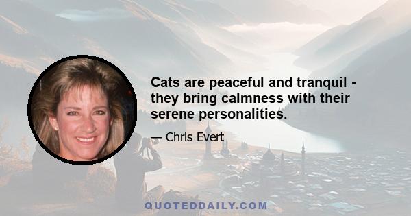 Cats are peaceful and tranquil - they bring calmness with their serene personalities.