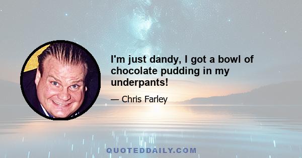 I'm just dandy, I got a bowl of chocolate pudding in my underpants!