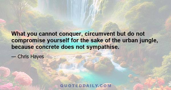 What you cannot conquer, circumvent but do not compromise yourself for the sake of the urban jungle, because concrete does not sympathise.