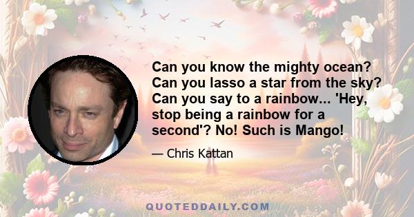 Can you know the mighty ocean? Can you lasso a star from the sky? Can you say to a rainbow... 'Hey, stop being a rainbow for a second'? No! Such is Mango!