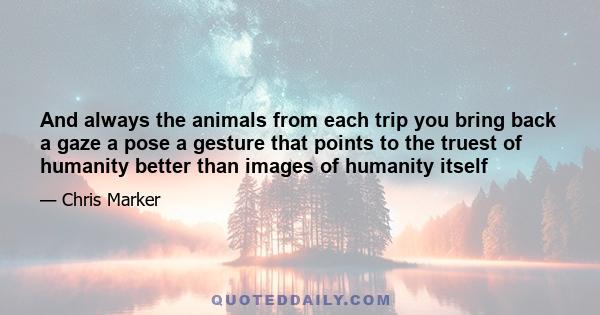 And always the animals from each trip you bring back a gaze a pose a gesture that points to the truest of humanity better than images of humanity itself