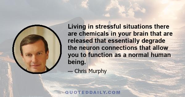 Living in stressful situations there are chemicals in your brain that are released that essentially degrade the neuron connections that allow you to function as a normal human being.