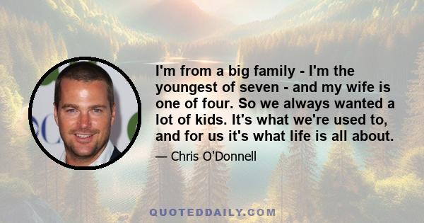 I'm from a big family - I'm the youngest of seven - and my wife is one of four. So we always wanted a lot of kids. It's what we're used to, and for us it's what life is all about.