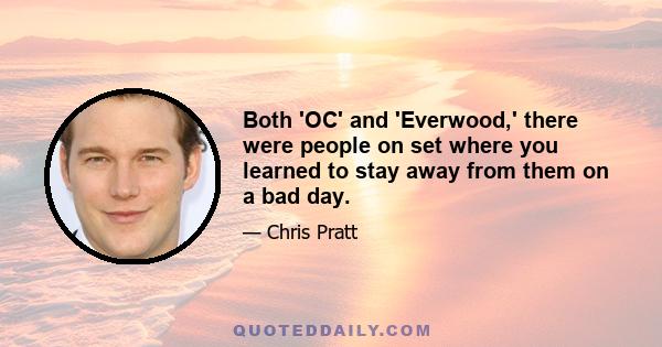 Both 'OC' and 'Everwood,' there were people on set where you learned to stay away from them on a bad day.