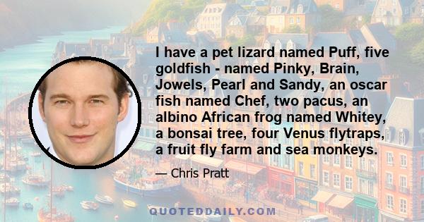 I have a pet lizard named Puff, five goldfish - named Pinky, Brain, Jowels, Pearl and Sandy, an oscar fish named Chef, two pacus, an albino African frog named Whitey, a bonsai tree, four Venus flytraps, a fruit fly farm 