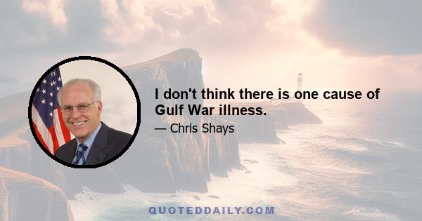 I don't think there is one cause of Gulf War illness.