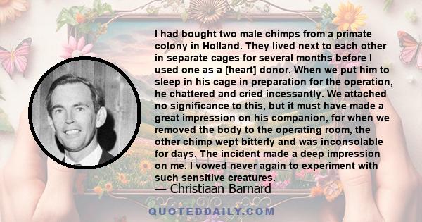 I had bought two male chimps from a primate colony in Holland. They lived next to each other in separate cages for several months before I used one as a [heart] donor. When we put him to sleep in his cage in preparation 