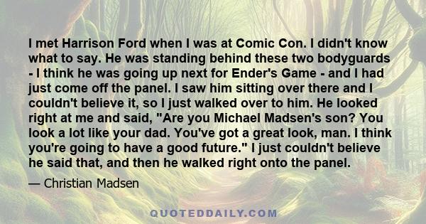 I met Harrison Ford when I was at Comic Con. I didn't know what to say. He was standing behind these two bodyguards - I think he was going up next for Ender's Game - and I had just come off the panel. I saw him sitting