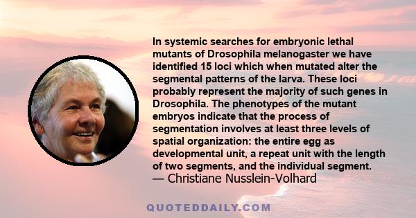 In systemic searches for embryonic lethal mutants of Drosophila melanogaster we have identified 15 loci which when mutated alter the segmental patterns of the larva. These loci probably represent the majority of such