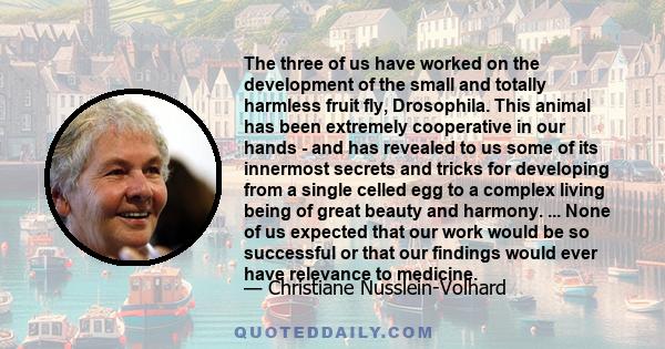 The three of us have worked on the development of the small and totally harmless fruit fly, Drosophila. This animal has been extremely cooperative in our hands - and has revealed to us some of its innermost secrets and