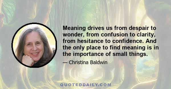 Meaning drives us from despair to wonder, from confusion to clarity, from hesitance to confidence. And the only place to find meaning is in the importance of small things.