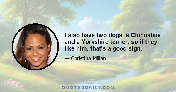 I also have two dogs, a Chihuahua and a Yorkshire terrier, so if they like him, that's a good sign.