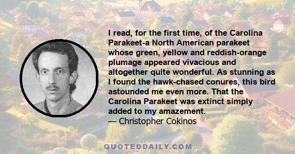 I read, for the first time, of the Carolina Parakeet-a North American parakeet whose green, yellow and reddish-orange plumage appeared vivacious and altogether quite wonderful. As stunning as I found the hawk-chased