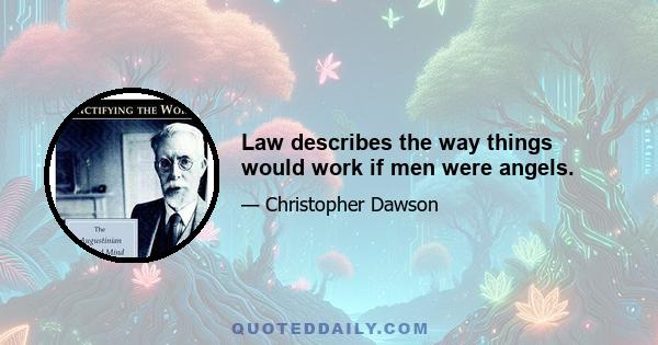 Law describes the way things would work if men were angels.