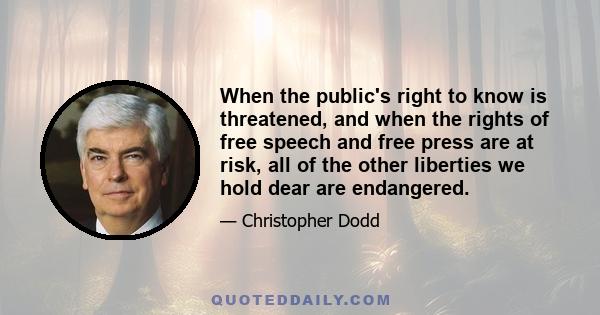 When the public's right to know is threatened, and when the rights of free speech and free press are at risk, all of the other liberties we hold dear are endangered.