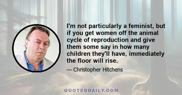 I'm not particularly a feminist, but if you get women off the animal cycle of reproduction and give them some say in how many children they'll have, immediately the floor will rise.