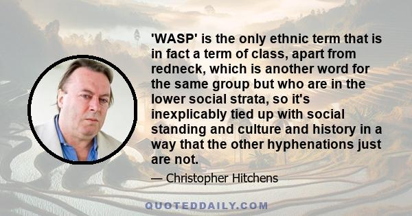 'WASP' is the only ethnic term that is in fact a term of class, apart from redneck, which is another word for the same group but who are in the lower social strata, so it's inexplicably tied up with social standing and