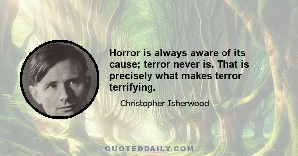 Horror is always aware of its cause; terror never is. That is precisely what makes terror terrifying.