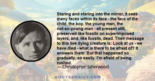 Staring and staring into the mirror, it sees many faces within its face - the face of the child, the boy, the young man, the not-so-young man - all present still, preserved like fossils on superimposed layers, and, like 