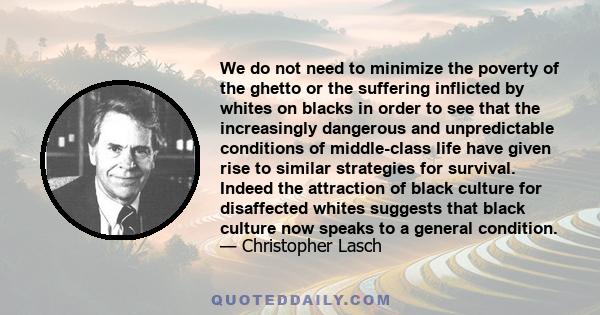 We do not need to minimize the poverty of the ghetto or the suffering inflicted by whites on blacks in order to see that the increasingly dangerous and unpredictable conditions of middle-class life have given rise to