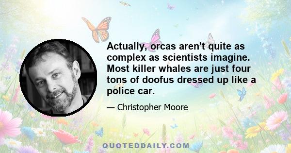 Actually, orcas aren't quite as complex as scientists imagine. Most killer whales are just four tons of doofus dressed up like a police car.