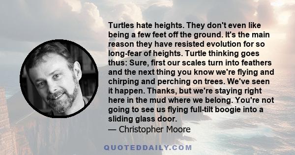 Turtles hate heights. They don't even like being a few feet off the ground. It's the main reason they have resisted evolution for so long-fear of heights. Turtle thinking goes thus: Sure, first our scales turn into