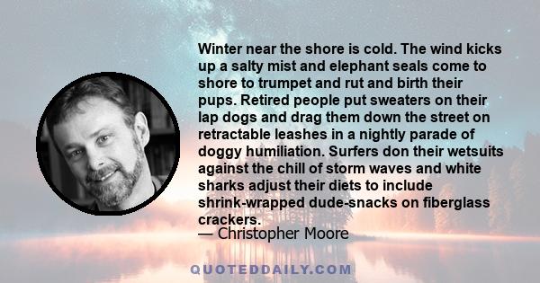 Winter near the shore is cold. The wind kicks up a salty mist and elephant seals come to shore to trumpet and rut and birth their pups. Retired people put sweaters on their lap dogs and drag them down the street on