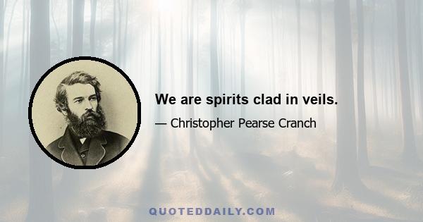 We are spirits clad in veils.