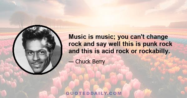 Music is music; you can't change rock and say well this is punk rock and this is acid rock or rockabilly.