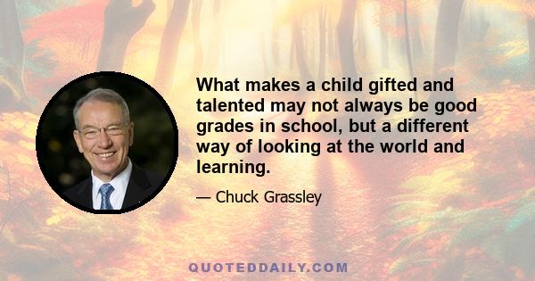 What makes a child gifted and talented may not always be good grades in school, but a different way of looking at the world and learning.