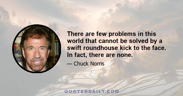 There are few problems in this world that cannot be solved by a swift roundhouse kick to the face. In fact, there are none.