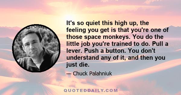 It's so quiet this high up, the feeling you get is that you're one of those space monkeys. You do the little job you're trained to do. Pull a lever. Push a button. You don't understand any of it, and then you just die.