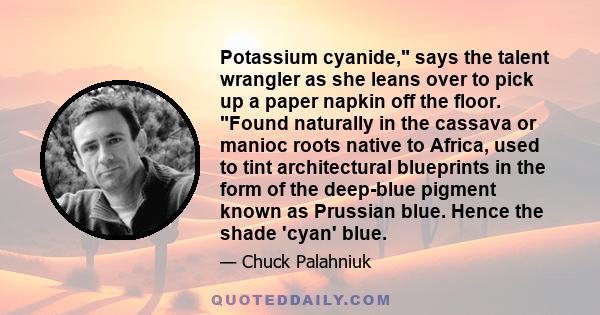 Potassium cyanide, says the talent wrangler as she leans over to pick up a paper napkin off the floor. Found naturally in the cassava or manioc roots native to Africa, used to tint architectural blueprints in the form