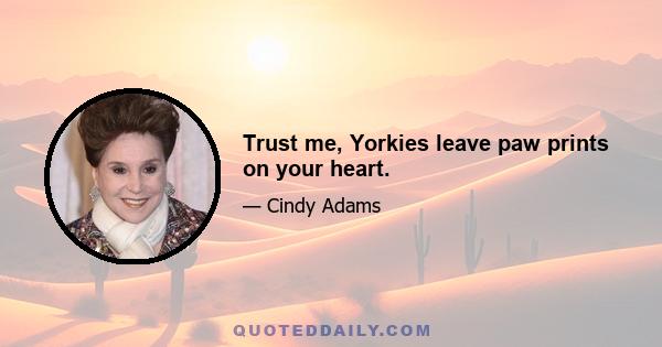 Trust me, Yorkies leave paw prints on your heart.