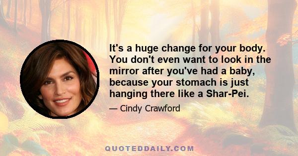 It's a huge change for your body. You don't even want to look in the mirror after you've had a baby, because your stomach is just hanging there like a Shar-Pei.