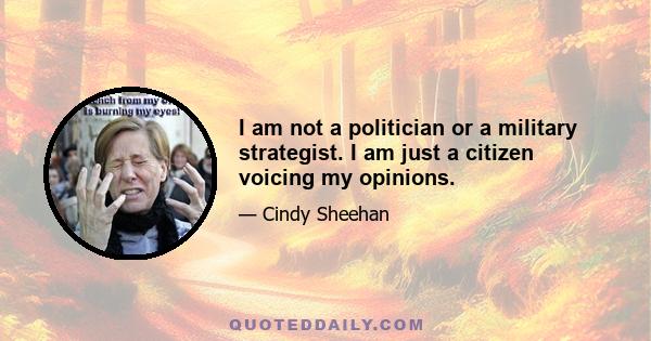 I am not a politician or a military strategist. I am just a citizen voicing my opinions.